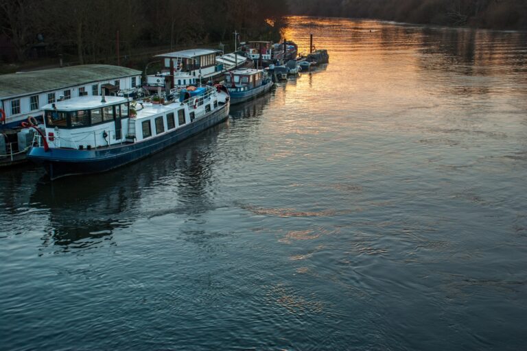 Boats in River Thames in the concept of Chiswick's public transport.
